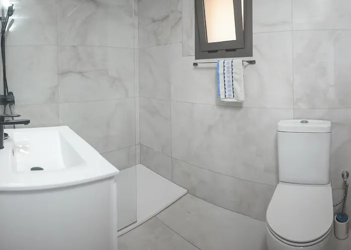 Elegant Penthouse In Centre לרנקה